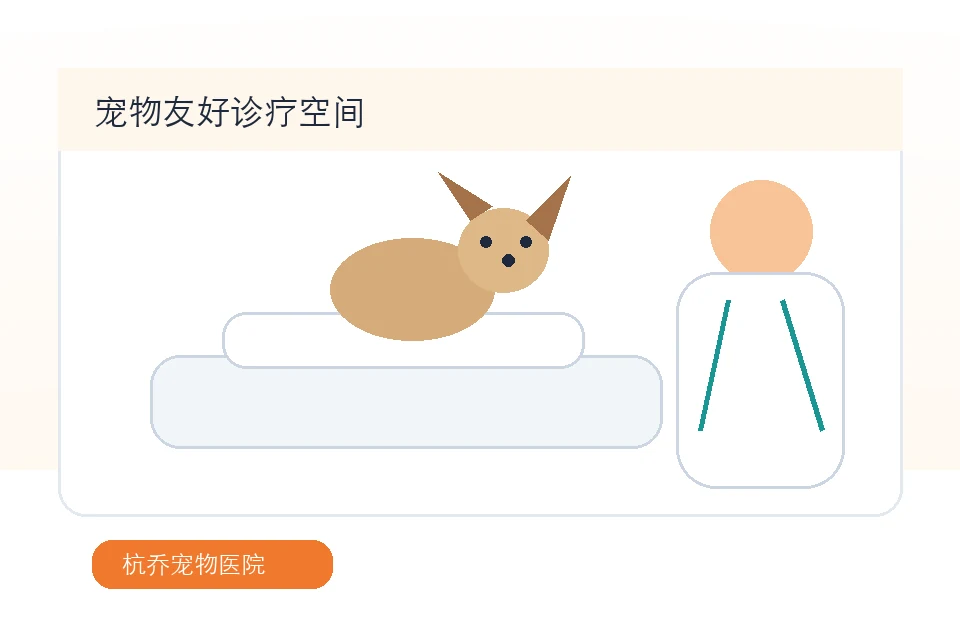宠物友好诊疗空间插画